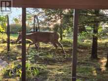2A WHITES ISLAND | Alnwick-Haldimand Ontario | Slide Image Twenty-nine