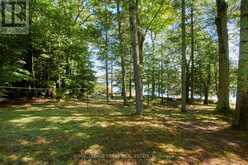 2A WHITES ISLAND | Alnwick-Haldimand Ontario | Slide Image Thirty