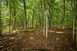 2A WHITES ISLAND | Alnwick-Haldimand Ontario | Slide Image Thirty-two
