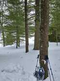2A WHITES ISLAND | Alnwick-Haldimand Ontario | Slide Image Thirty-four