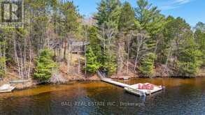 1361 MCRAE HAY LAKE ROAD | South Algonquin Ontario | Slide Image Two