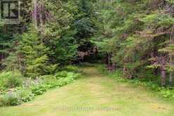 2090 COUNTY 121 ROAD | Kawartha Lakes Ontario | Slide Image Forty-eight