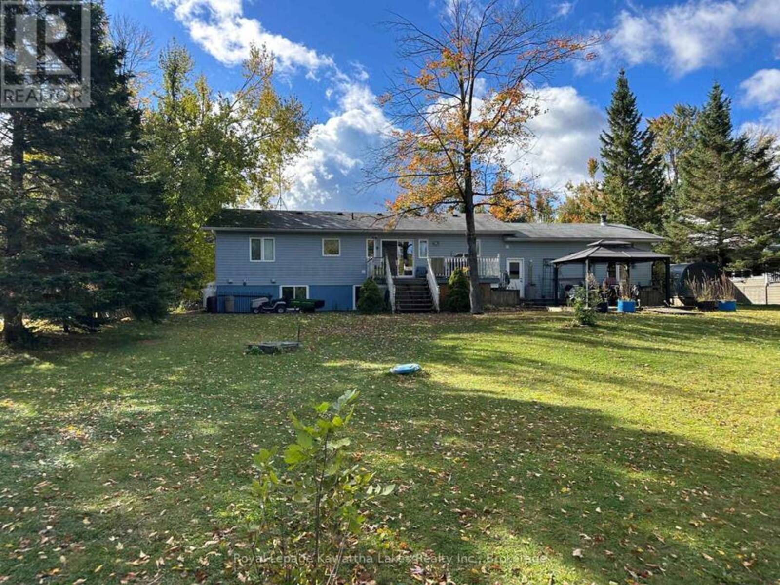 62 EVANS DRIVE, Fenelon Falls, Ontario K0M 1N0