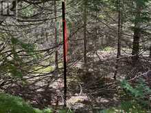 PART 2 INGHAM ROAD | Alnwick-Haldimand Ontario | Slide Image Four