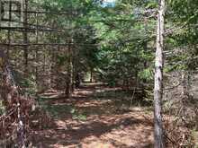 PART 2 INGHAM ROAD | Alnwick-Haldimand Ontario | Slide Image Five