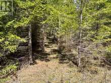 PART 2 INGHAM ROAD | Alnwick-Haldimand Ontario | Slide Image Six