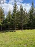 PART 2 INGHAM ROAD | Alnwick-Haldimand Ontario | Slide Image Eight