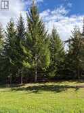 PART 2 INGHAM ROAD | Alnwick-Haldimand Ontario | Slide Image Nine