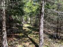 PART 3 INGHAM ROAD | Alnwick-Haldimand Ontario | Slide Image Four