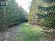 PART 3 INGHAM ROAD | Alnwick-Haldimand Ontario | Slide Image Five