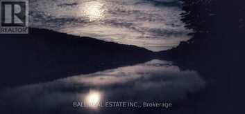 1691F BUCKSHOT LAKE ROAD | Addington Highlands Ontario | Slide Image Four