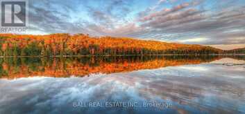 1691F BUCKSHOT LAKE ROAD | Addington Highlands Ontario | Slide Image Five