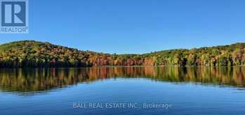1691F BUCKSHOT LAKE ROAD | Addington Highlands Ontario | Slide Image Twenty