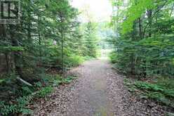 18120 HIGHWAY 41 | Addington Highlands Ontario | Slide Image Twenty