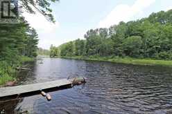 18120 HIGHWAY 41 | Addington Highlands Ontario | Slide Image Twenty-three