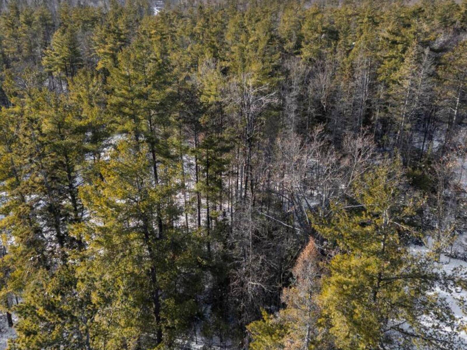 00 PINEVIEW COURT, Marmora, Ontario K0K 2M0