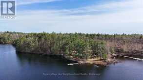 823 TANGAMONG ROAD E | Marmora Ontario | Slide Image Thirteen