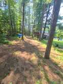 29840 62 HIGHWAY | Bancroft Ontario | Slide Image Forty-eight