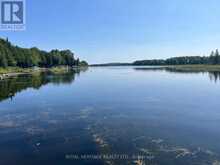 0 SUMCOT DRIVE | North Kawartha Ontario | Slide Image Ten