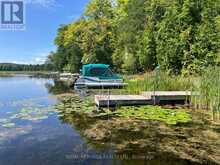 0 SUMCOT DRIVE | North Kawartha Ontario | Slide Image Eight