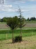 00 SOUTH SHORE ROAD | Greater Napanee Ontario | Slide Image Eight