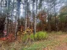 945 SHANICK ROAD | Marmora Ontario | Slide Image Two