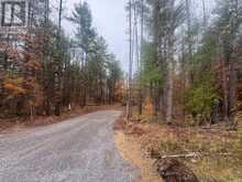945 SHANICK ROAD | Marmora Ontario | Slide Image Five