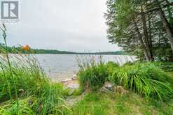 1087 C HILLS LAKE Road | North Frontenac Ontario | Slide Image Thirty-five