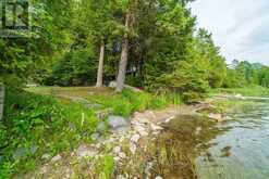 1087 C HILLS LAKE Road | North Frontenac Ontario | Slide Image Thirty-six