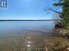 LOT 11 PINEWOOD BOULEVARD | Kawartha Lakes Ontario | Slide Image Five