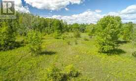 0 TRENEAR ROAD N | Alnwick-Haldimand Ontario | Slide Image Thirteen