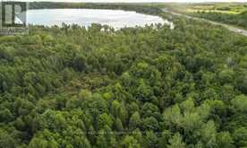 0 TRENEAR ROAD N | Alnwick-Haldimand Ontario | Slide Image Nine