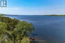 NEXT TO 2451 COUNTY ROAD 15 | Prince Edward Ontario | Slide Image Twelve