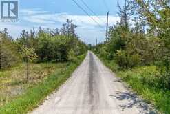 NEXT TO 2451 COUNTY ROAD 15 | Prince Edward Ontario | Slide Image Thirteen
