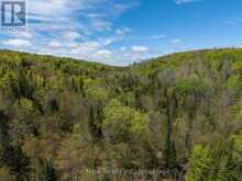 0 HIGHWAY 62 N HIGHWAY | Bancroft Ontario | Slide Image Two