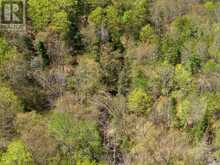 0 HIGHWAY 62 N HIGHWAY | Bancroft Ontario | Slide Image Eight