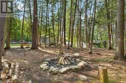2480 FIRE ROUTE 35 | North Kawartha Ontario | Slide Image Forty