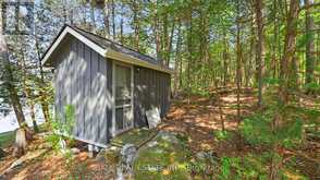 2480 FIRE ROUTE 35 | North Kawartha Ontario | Slide Image Forty-one