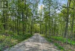 2480 FIRE ROUTE 35 | North Kawartha Ontario | Slide Image Forty-nine