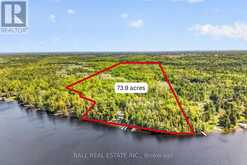 2480 FIRE ROUTE 35 | North Kawartha Ontario | Slide Image Two