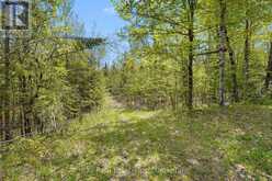 174 MOON LINE ROAD N | Bobcaygeon Ontario | Slide Image Twelve