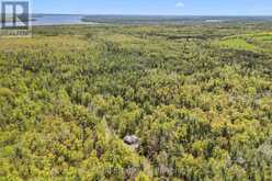 174 MOON LINE ROAD N | Bobcaygeon Ontario | Slide Image Seven