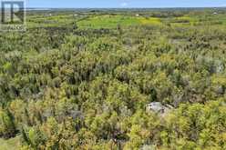 174 MOON LINE ROAD N | Bobcaygeon Ontario | Slide Image Nine