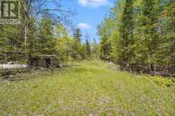 174 MOON LINE ROAD N | Bobcaygeon Ontario | Slide Image Twenty-eight
