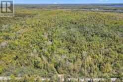 174 MOON LINE ROAD N | Bobcaygeon Ontario | Slide Image Thirty-one