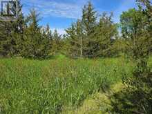 ACROSS FROM 3904 CTY RD 49 | Prince Edward Ontario | Slide Image Ten