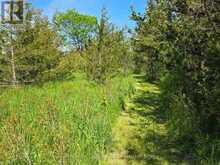 ACROSS FROM 3904 CTY RD 49 | Prince Edward Ontario | Slide Image Eleven