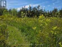 ACROSS FROM 3904 CTY RD 49 | Prince Edward Ontario | Slide Image Twelve