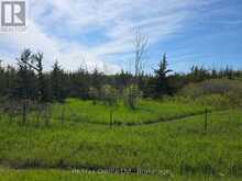 ACROSS FROM 3904 CTY RD 49 | Prince Edward Ontario | Slide Image Thirteen