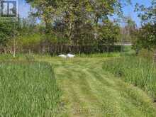 ACROSS FROM 3904 CTY RD 49 | Prince Edward Ontario | Slide Image Fifteen